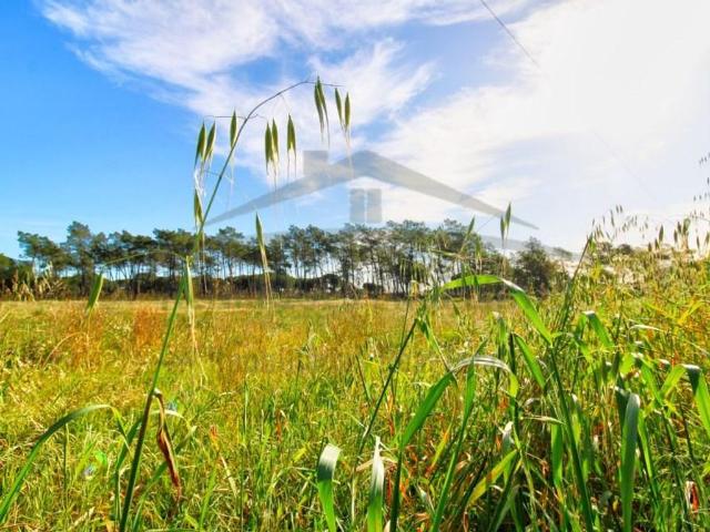 Terreno de 15150 m2 à venda Gambelas, Faro