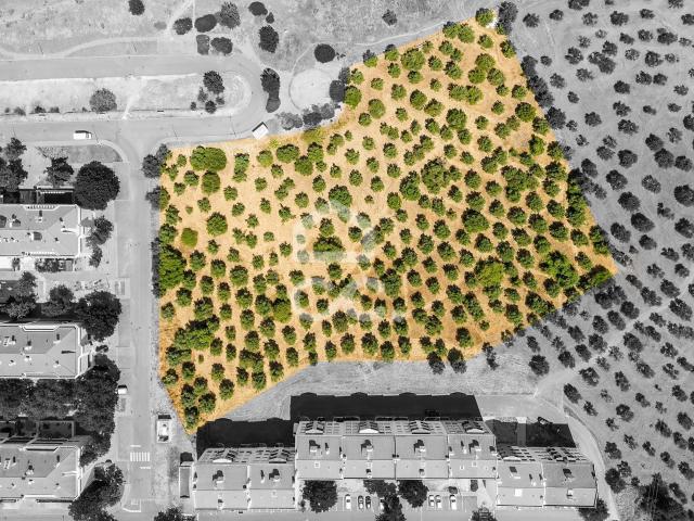 Terreno de 15335m² c/ Viabilidade de construção | Elvas