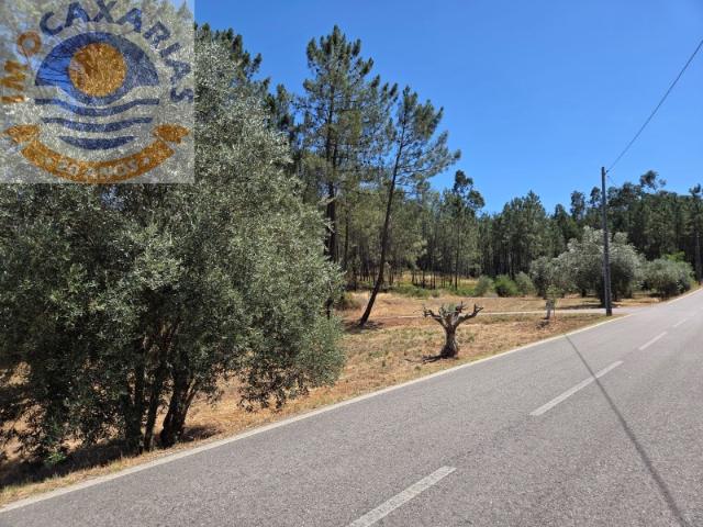 Terreno de 1589m², Carvalhal de Baixo
