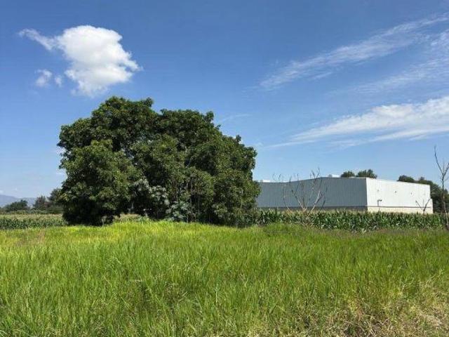 TERRENO DE 15,000m2 en San Sebastian El Grande