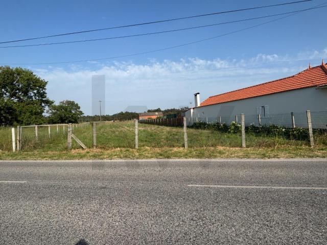 Terreno de 15.600 m² com 17m de Frente Urbanizável e Pinhal Privado