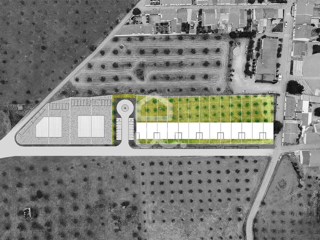 Terreno de 16019 c/ viabilidade de construção para 17 lotes | Amieira