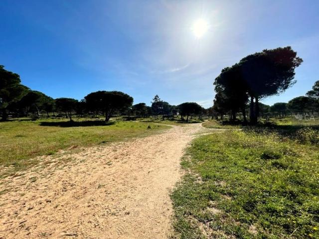 Terreno de 160 m2 Albufeira, Portugal