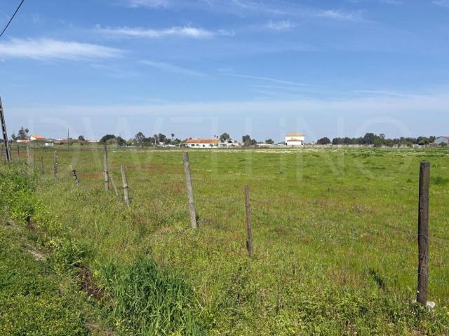 Terreno de 16609 m2 à venda Benavente, Santarém