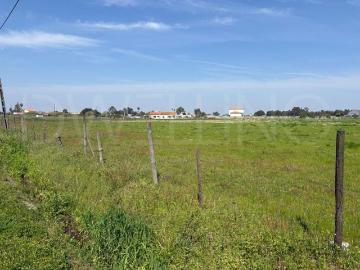 Terreno de 16609 m2 à venda Benavente, Santarém