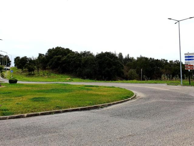 Terreno de 16.080m2 nas Caldas da Rainha