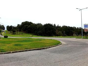Terreno de 16.080m2 nas Caldas da Rainha