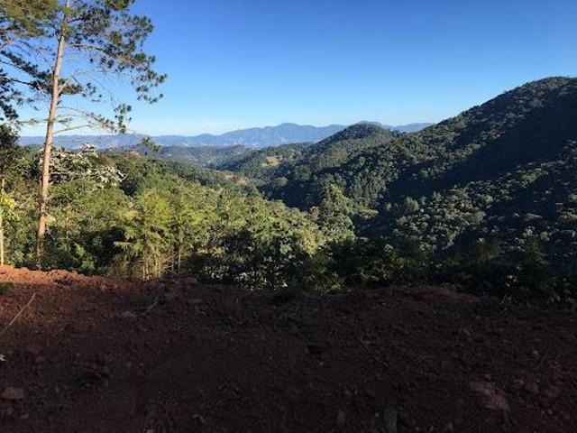 Terreno de 1767m² a venda em Condominio em Santo Antônio do Pinhal, na Serra da Mantiqueira, Vista L