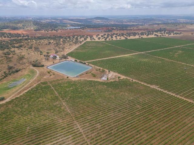 Terreno de 179 m2 à venda Vila Viçosa, Évora