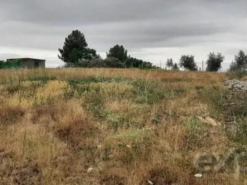 Terreno de 1800 m² à venda em Mirandela, Portugal