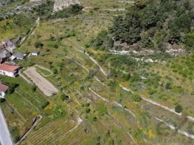 Terreno de 181000 m2 à venda Alijó, Vila Real