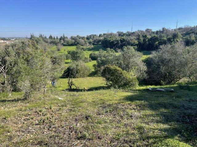 Terreno de 18120 m2 à venda Portimão, Faro