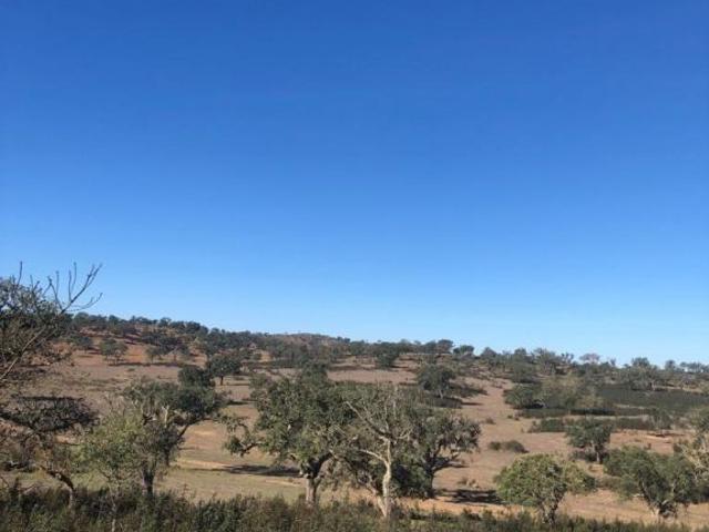 Terreno de 181225 m2 à venda Santiago do Cacém, Setúbal