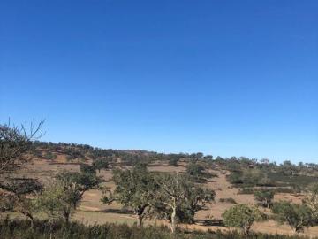 Silveiras, Cercal, Santiago do Cacém, Distrito de Setúbal