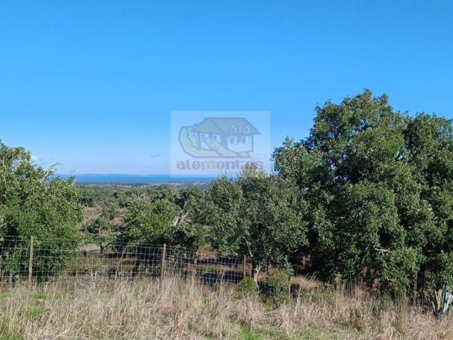 Terreno de 1830 m2 Serra, Grândola, Setúbal