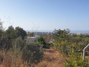 Boliqueime, Loulé, Distrito de Faro, Algarve