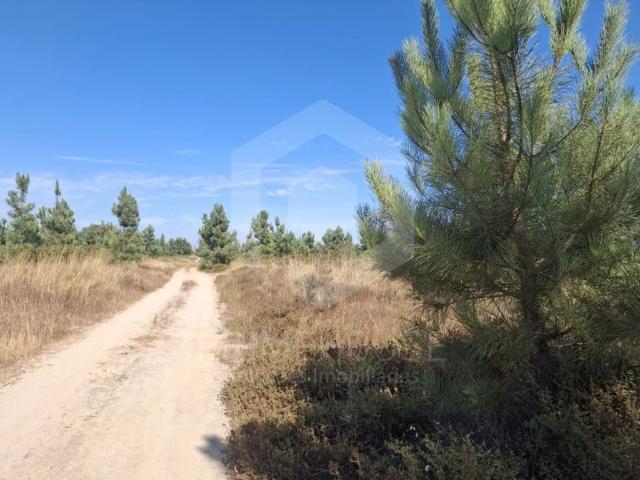 Terreno de 191 m2 à venda Palmela, Portugal