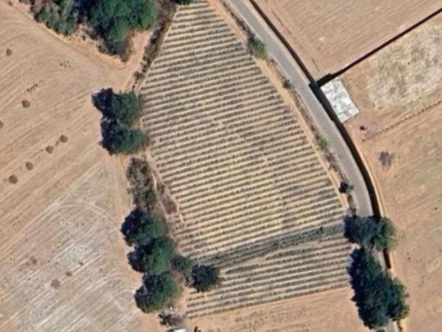 Terreno de 10000 m² en venta en La Venta del Astillero