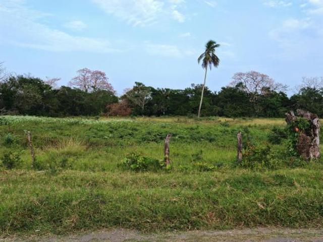 Terreno de 1000 m2 en el municipio de tlalixcoyan