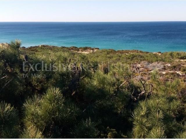 Terreno de 1000 m2 à venda Praia da Gale, Grândola, Setúbal