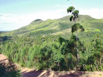 Terreno de 1000 m² em Mairinque em meio a natureza