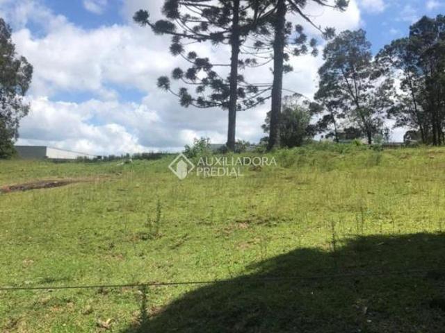 Terreno de 100,00 x 75,00m = 750m² bairro Esplanada Caxias do Sul