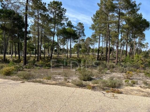 Terreno de 1019 m2 Grandola, Grândola, Setúbal