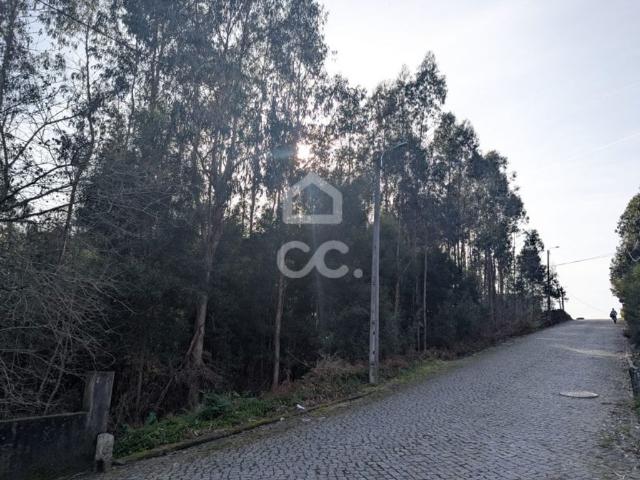 Terreno de 10290 m2 à venda Vila Nova de Famalicão, Braga