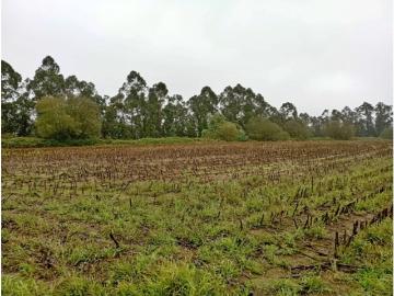 Terreno de 10765 m2 à venda Trofa, Portugal