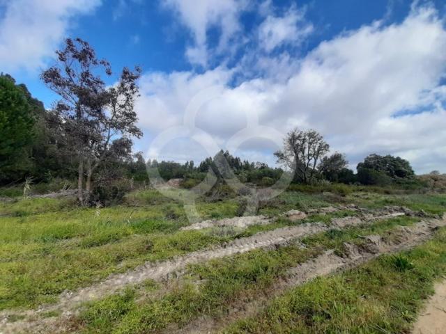 Terreno de 108508 m2 à venda Pegoes Gare, Montijo, Setúbal