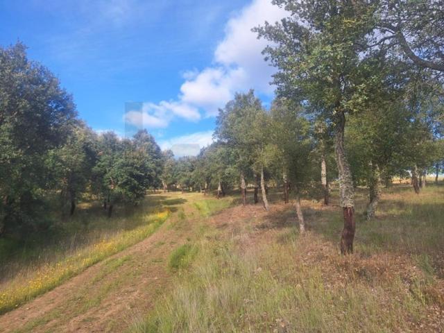 Terreno de 108700 m2 Vila Nova de Foz Côa, Portugal