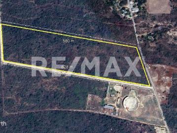 TERRENO DE 10 HECTÁREAS EN VENTA EN KANASÍN