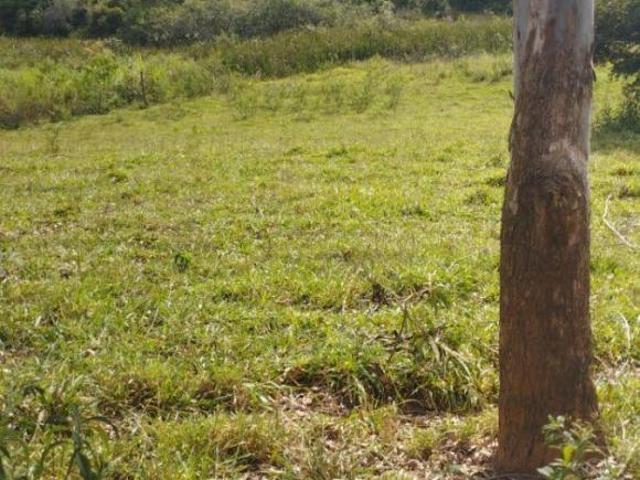 Terreno de 10.000 m2 no Rancho Novo