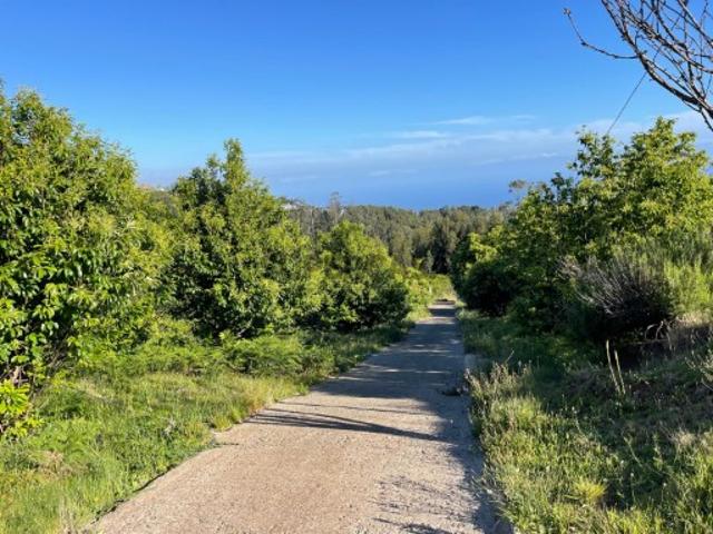 TERRENO A VENDA ARCO DA CALHETA PRAZERES