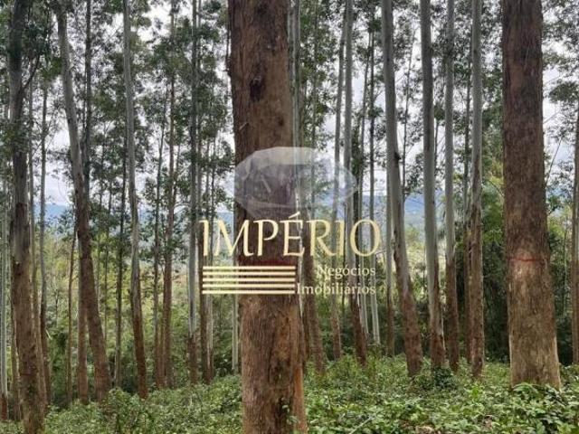 Terreno de 10,00 hectares à venda em Três Coroas RS, bairro Quilombo: oportunidade única!