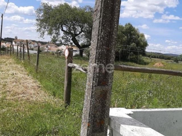Terreno de 11270 m2 à venda Montemor o Novo, Évora