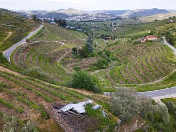 Terreno de 11718 m2 Samodães, Viseu