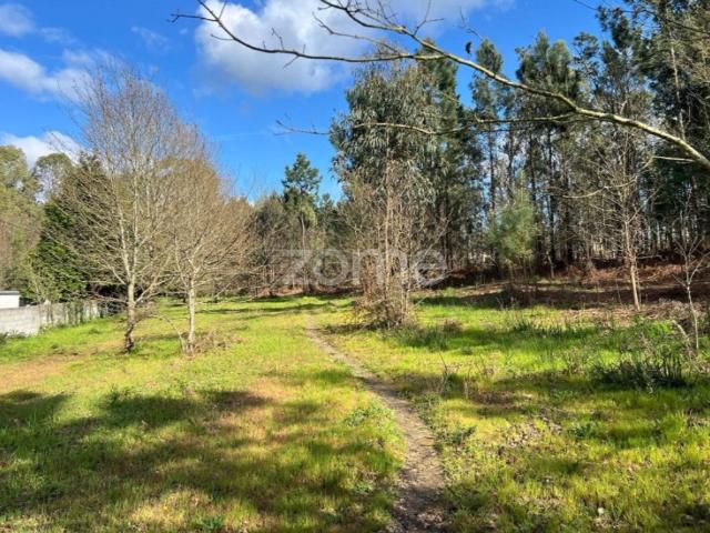 Terreno de 12000 m2 Amares, Portugal