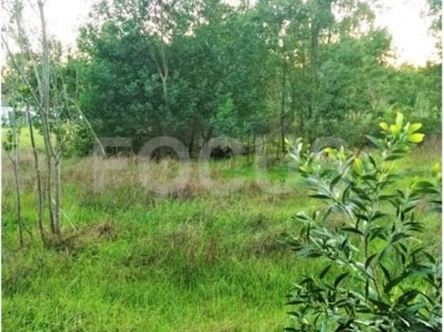 Terreno de 12000 m2 Centro, Ílhavo, Aveiro