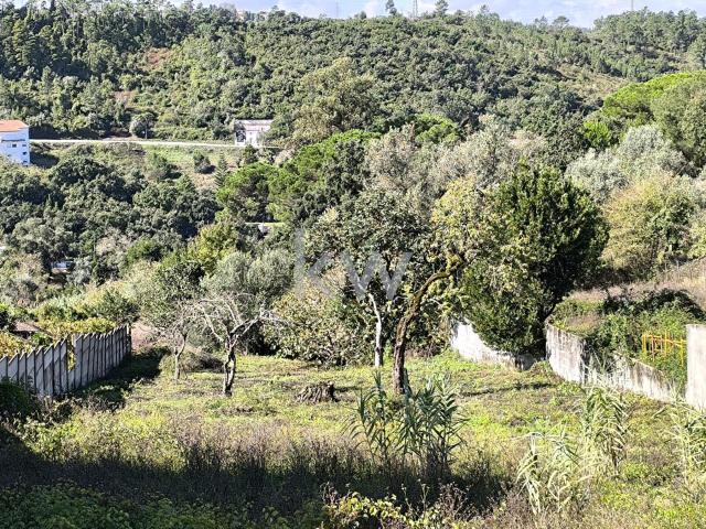 Terreno de 1200m2 com viabilidade de Construção em Marco dos Pereiros, Coimbra