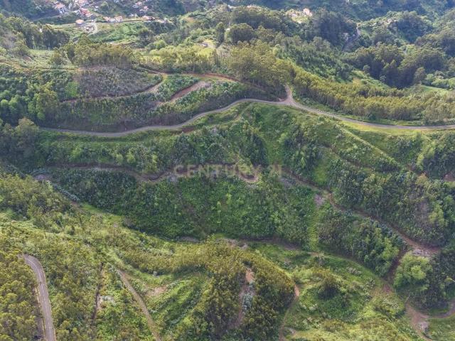 Terreno de 120.000m² com Potencial Agrícola Campanário