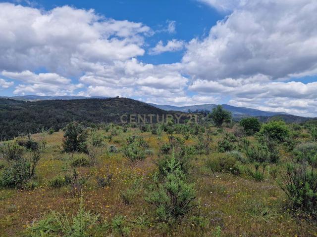 Terreno de 12250m² em Portimão Oportunidade Única!