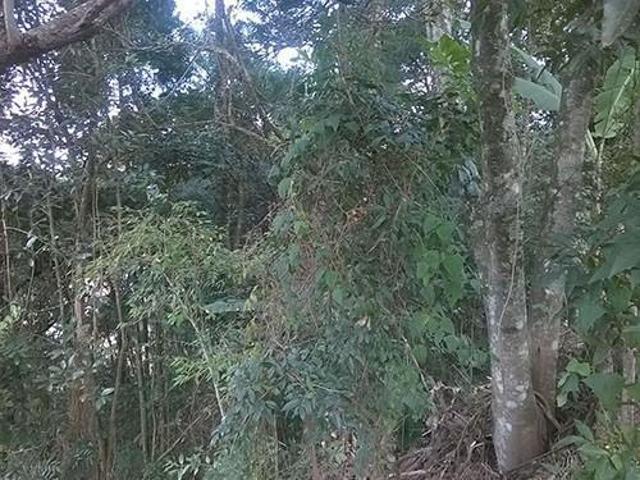 Terreno de 1225m²