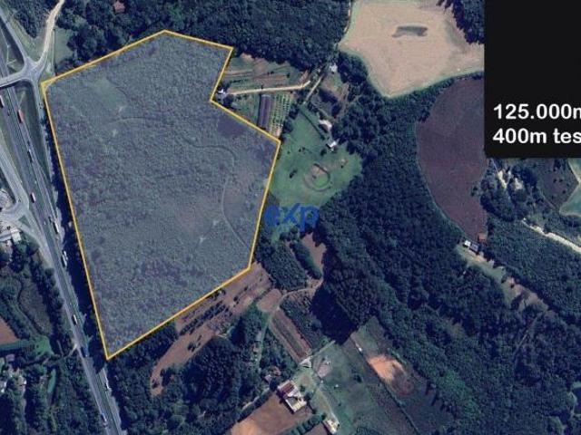 Terreno de 125mil m² para venda em Campo Largo da Roseira São José dos Pinhais!