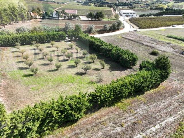 Terreno de 1288 m2 à venda Torres Vedras, Lisboa