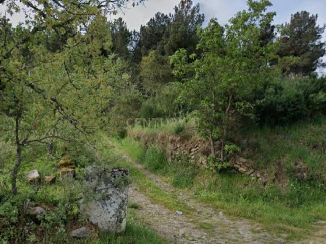 Terreno agricola com 12 mil m2, perto do Casino Solverde de Chaves