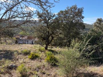 Terreno de 12.000m² com Projeto Aprovado para Moradia e Piscina na Goldra, Loulé