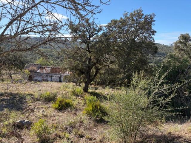 Terreno de 12.000m² com Projeto Aprovado para Moradia e Piscina na Goldra, Loulé