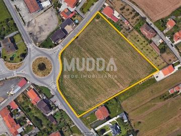Terreno de 12.180 m² para Construção de Moradias: Oportunidade Única!