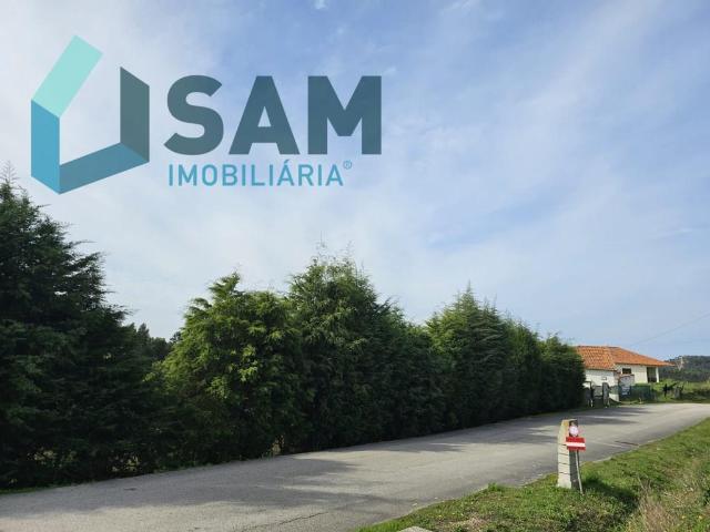 Terreno de 12.105 m2 com moradia Torres Vedras 0m² Torres vedras santa maria do castelo e são miguel
